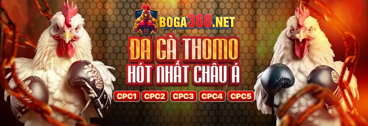 Sân gà v8club trực tuyến
